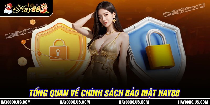 Tổng quan về chính sách bảo mật Hay88
