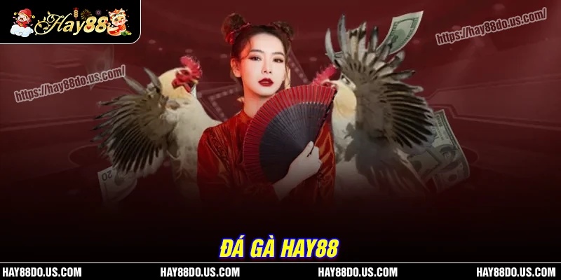 Những thể loại đá gà được ưa thích nhất tại Hay88