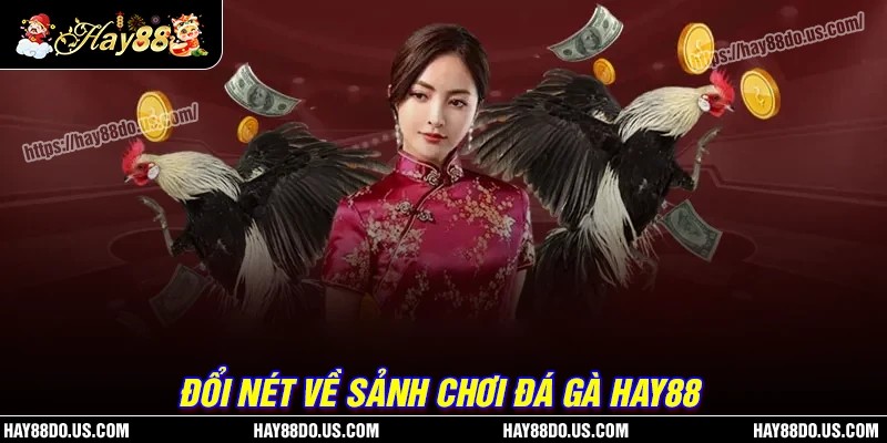 Tổng quan về sân chơi Đá gà Hay88