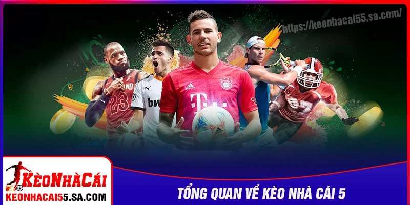 Tổng quan website bóng đá Kèo nhà cái 5